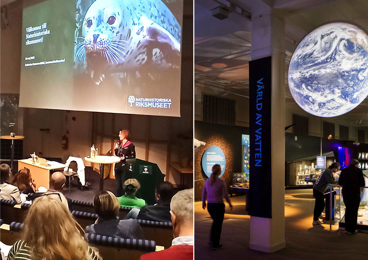 Bildcollage med presentation av Naturhistoriska riksmuseets kommunikationschef Catharina Hammarskiöld samt interiörbild från entrén till utställningen Värld av vatten på Nordiska riksmuseet