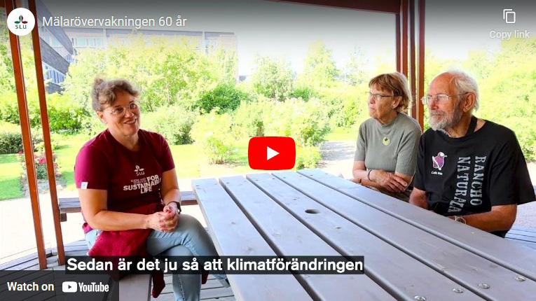 Bildruta från filmen Miljöövervakning i Mälaren 60 år på Youtube.