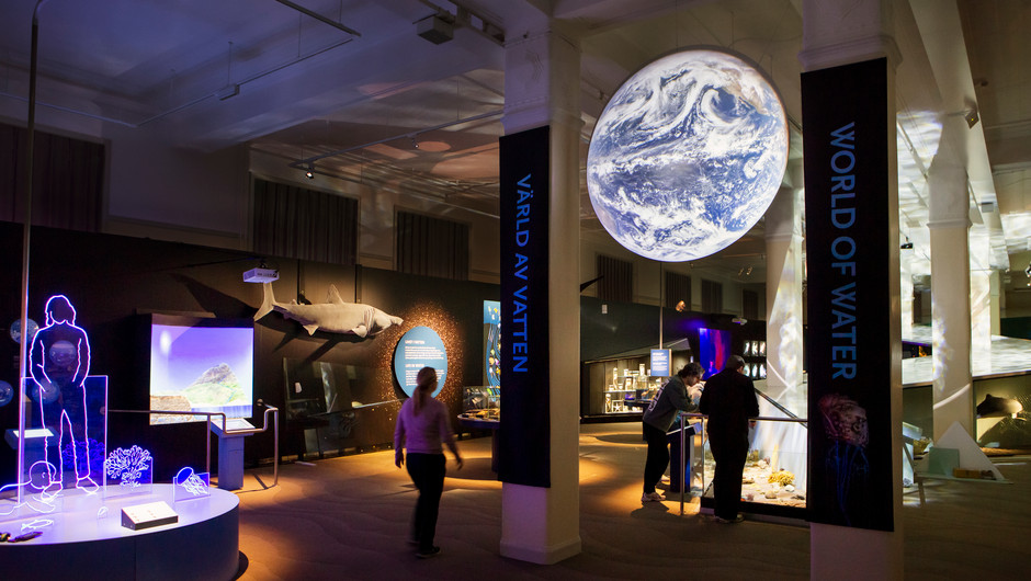 Bild från utställningen Värld av vatten på Naturhistoriska riksmuseet